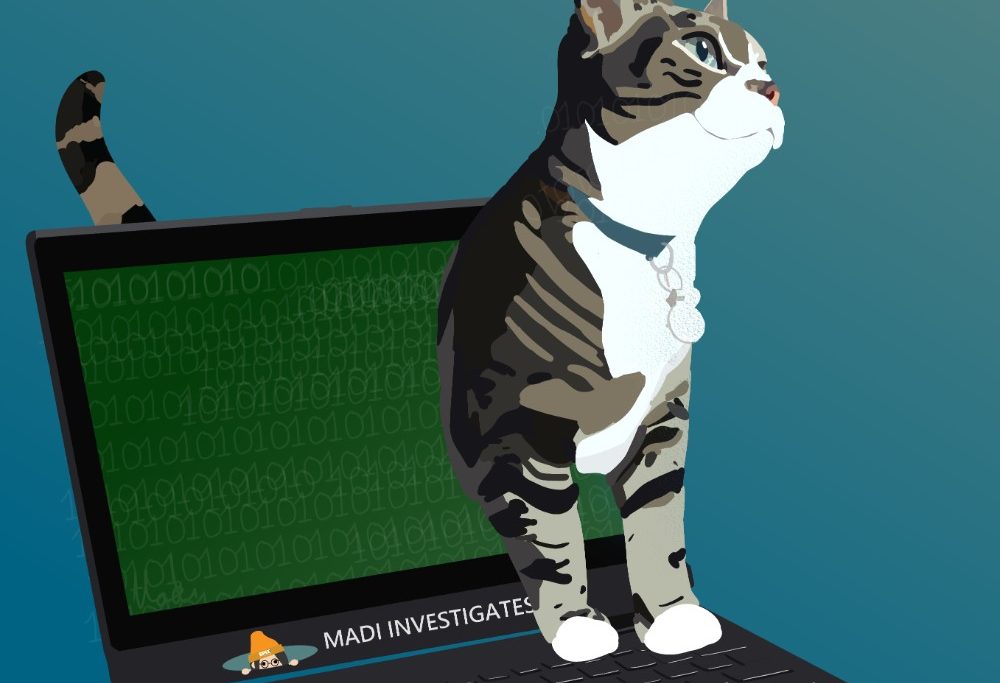 Madi's cat on a laptop