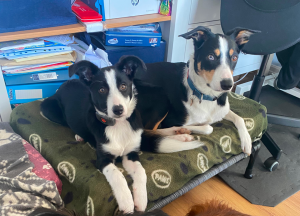Cali and Ollie