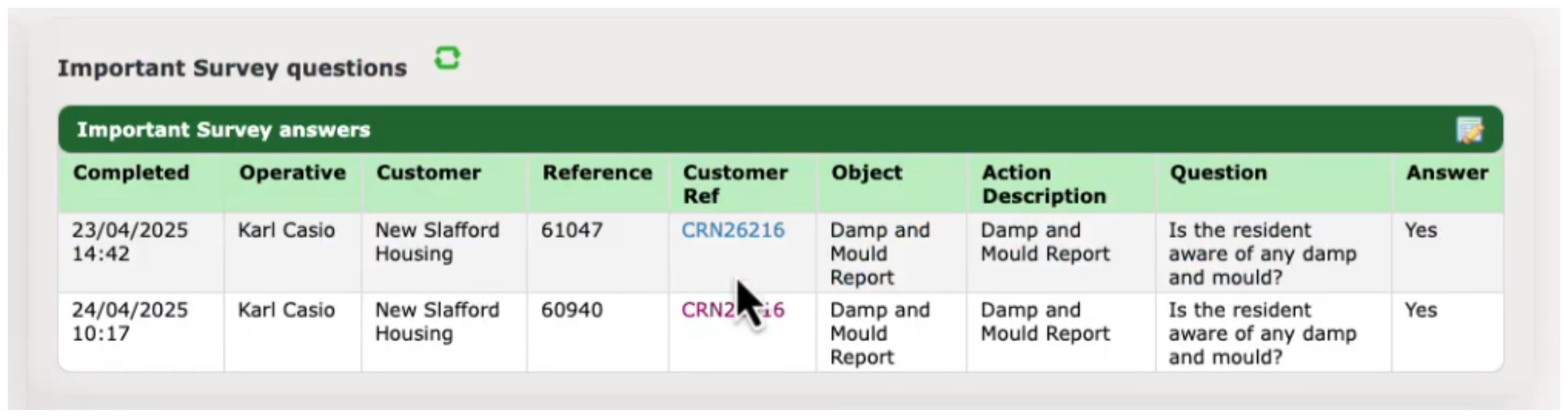 Screenshot of damp mould report